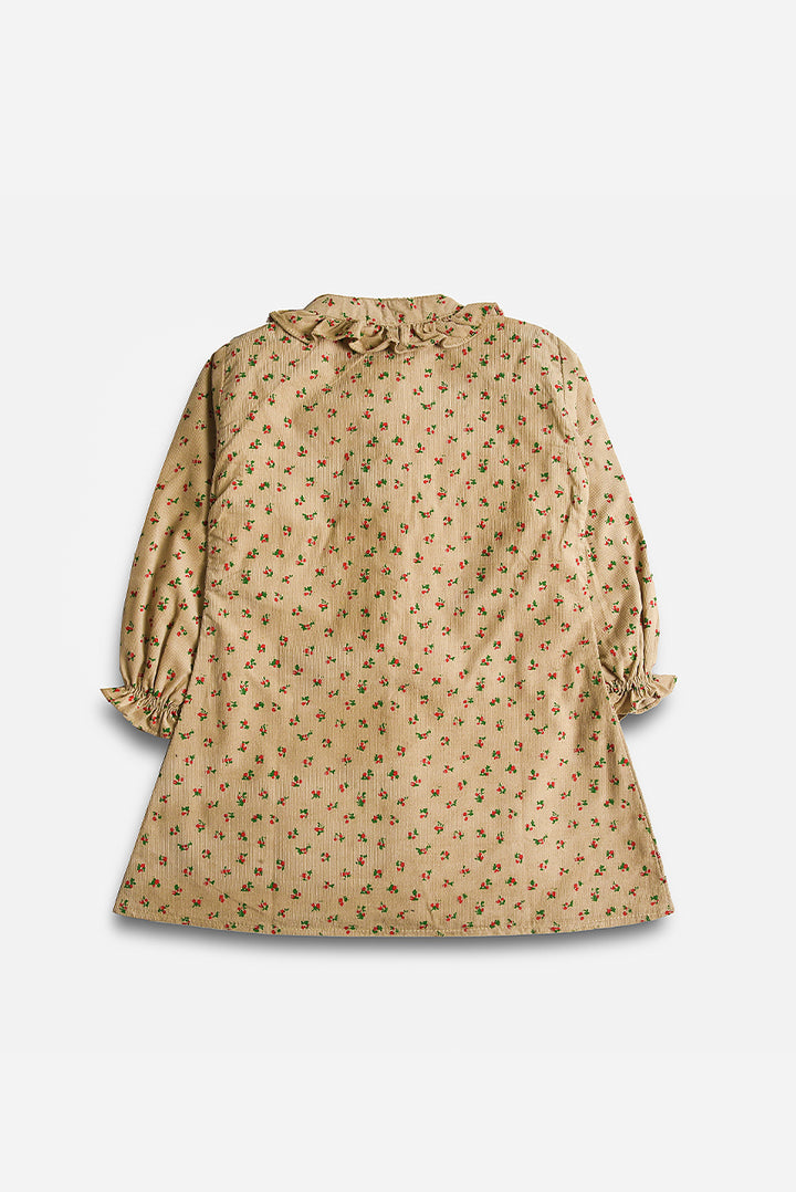 Floral Embroidered Corduroy Dress (PW377)