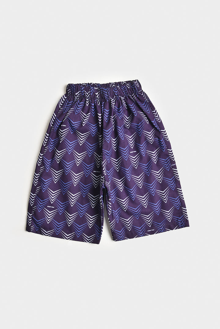 Boy's Printed Cotton Set (PW96)