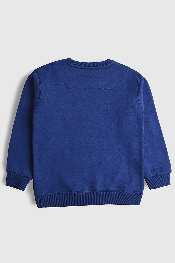 Imported Pixel Pal Sweatshirt (PW467)