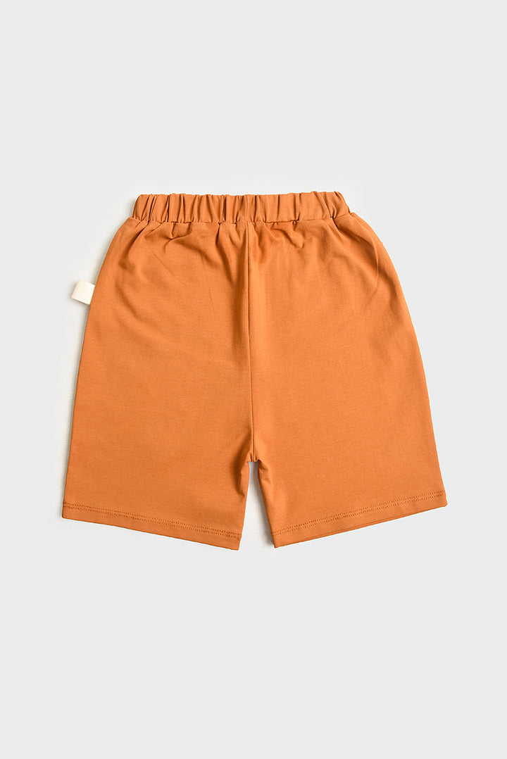 Imported Surf L.A Boy's Cotton Set (PW268)